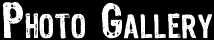 Photo Gallery